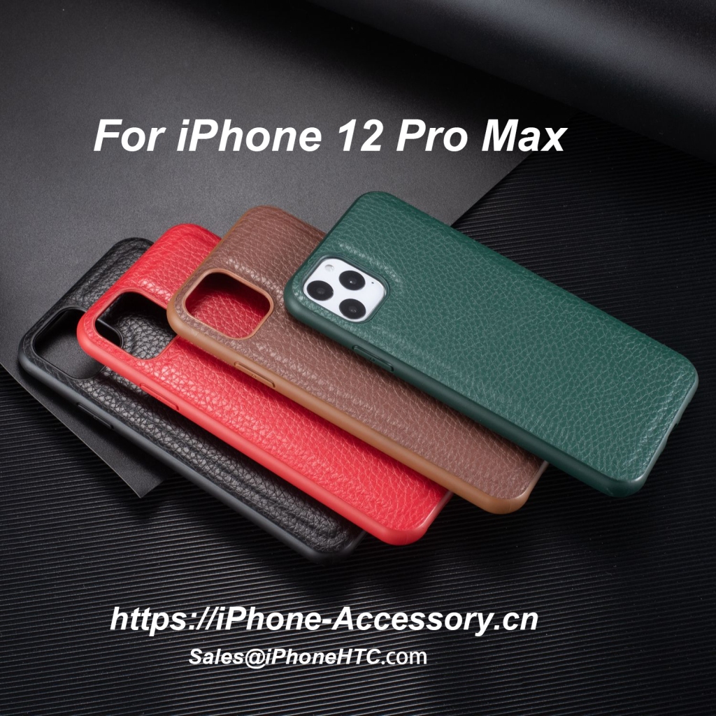 iPhone 12 Pro Max Fashion Case